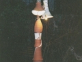 Lampen-c_22_3_10